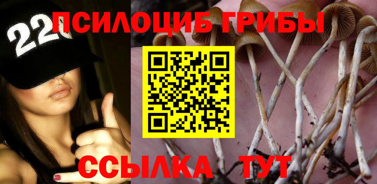 Малоярославец  где купить наркотик  Вход с VPN  Галлюциногенные грибы прущие грибы 